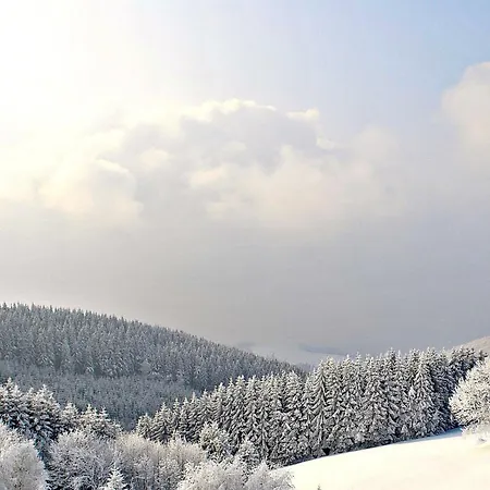 Lenneplaetze Βίντερμπεργκ