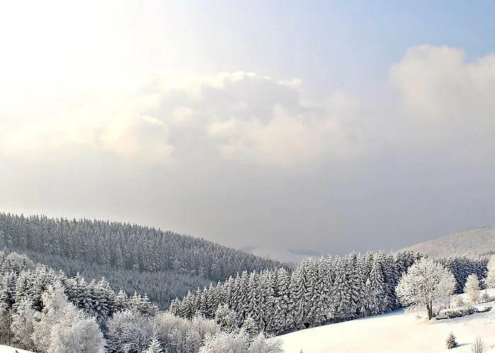 Lenneplatze وينتربرغ