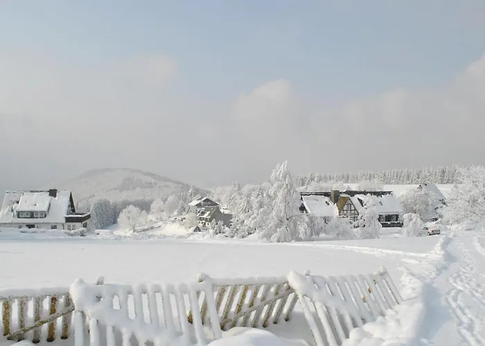 Lenneplaetze Lägenhet Winterberg